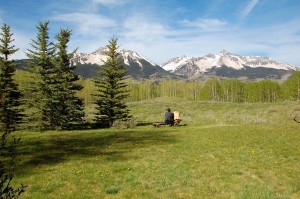 Telluride Meadow