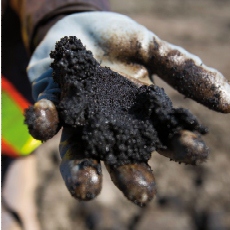 Tar Sands