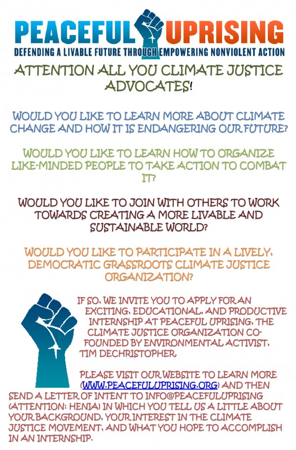 2012-12-15-Intern-Flyer Intern Flyer